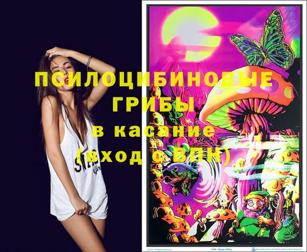 дмт Алексеевка