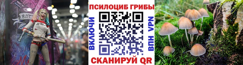 Псилоцибиновые грибы ЛСД  Куровское 
